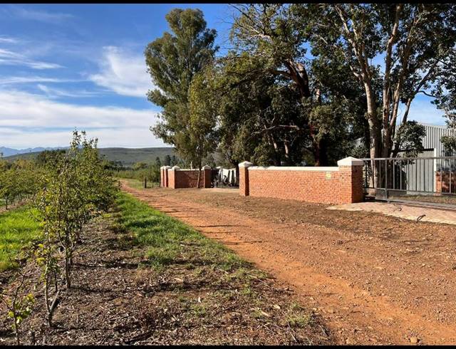 FARM FOR SALE IN JOUBERTINA RURAL